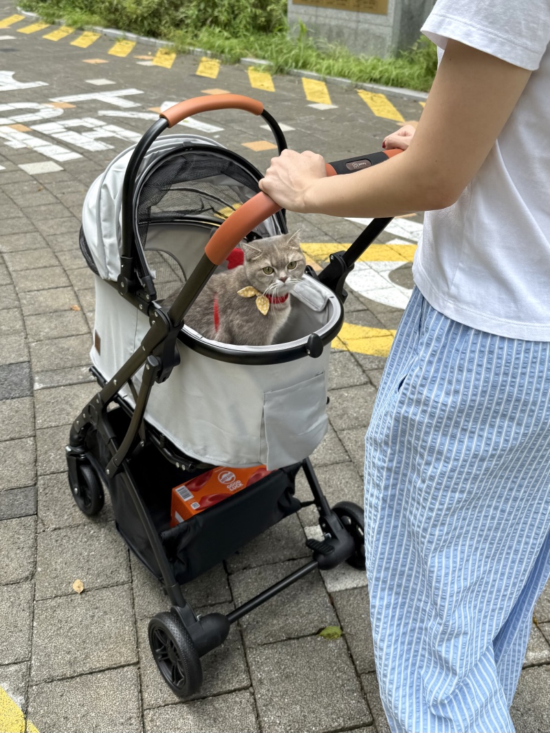 IMG_1829.jpeg