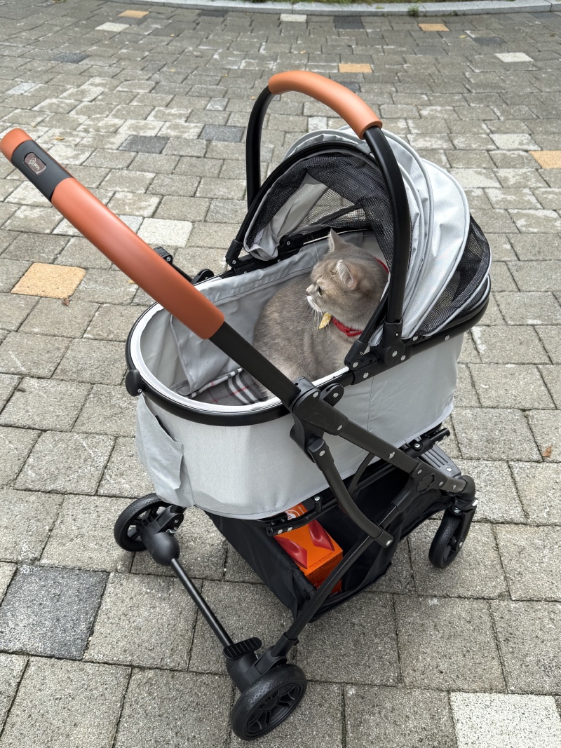 IMG_1827.jpeg
