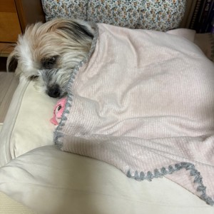 IMG_3783.jpeg
