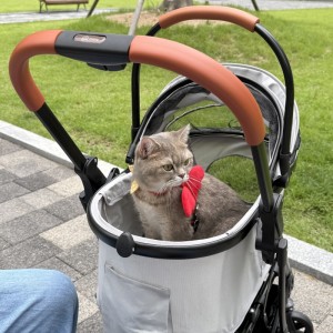IMG_1860.jpeg