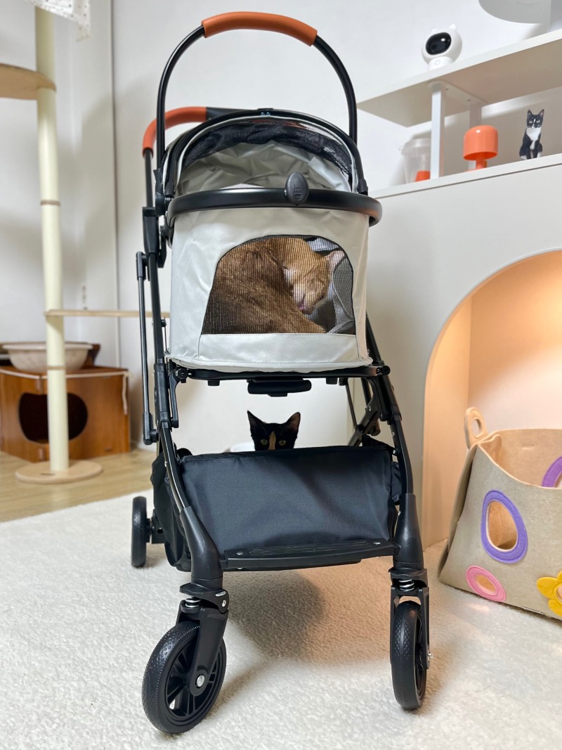 KakaoTalk_20250928_212306627_06.jpg