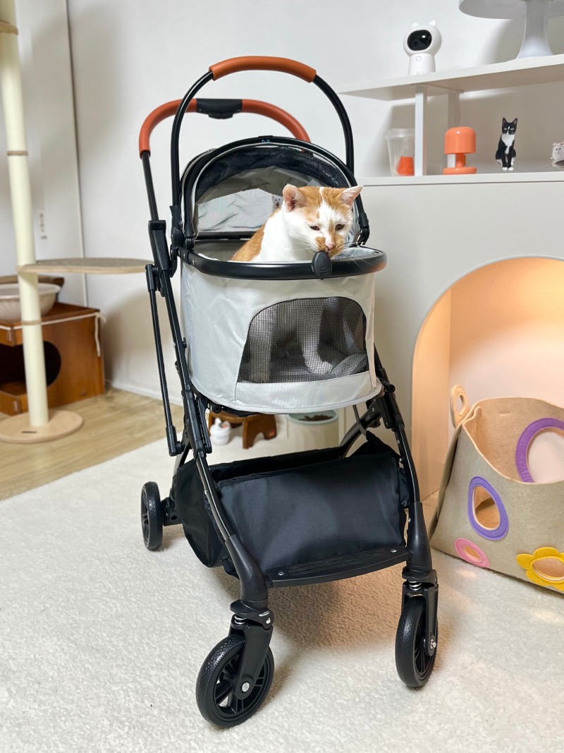 KakaoTalk_20250928_212306627_10.jpg
