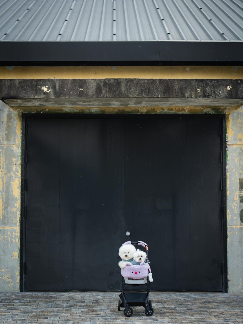 63674FB2-F9C2-4340-8D02-1C03ED48B7D4 (1).jpeg