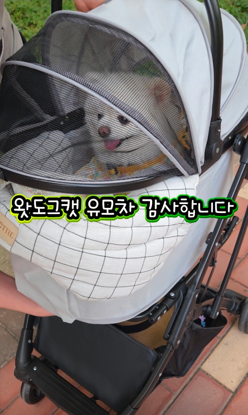 1000067117.jpg